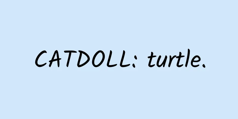CATDOLL: turtle.
