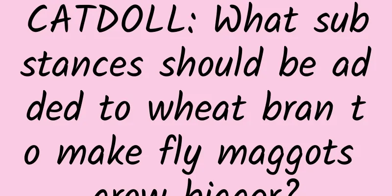 CATDOLL: What substances should be added to wheat bran to make fly maggots grow bigger?