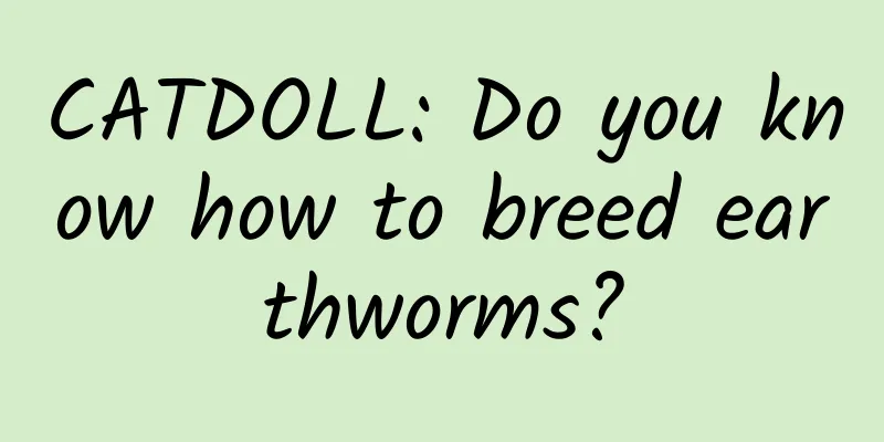 CATDOLL: Do you know how to breed earthworms?
