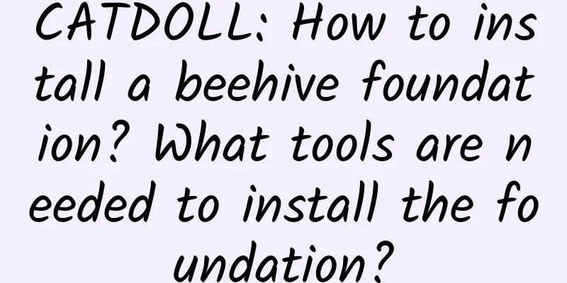 CATDOLL: How to install a beehive foundation? What tools are needed to install the foundation?