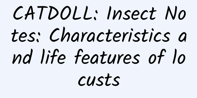 CATDOLL: Insect Notes: Characteristics and life features of locusts