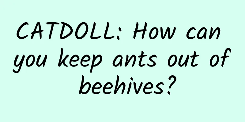 CATDOLL: How can you keep ants out of beehives?