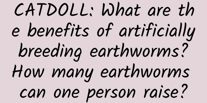 CATDOLL: What are the benefits of artificially breeding earthworms? How many earthworms can one person raise?