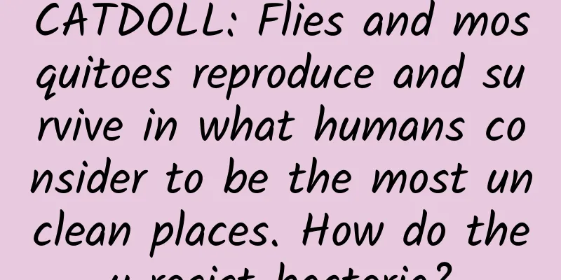 CATDOLL: Flies and mosquitoes reproduce and survive in what humans consider to be the most unclean places. How do they resist bacteria?