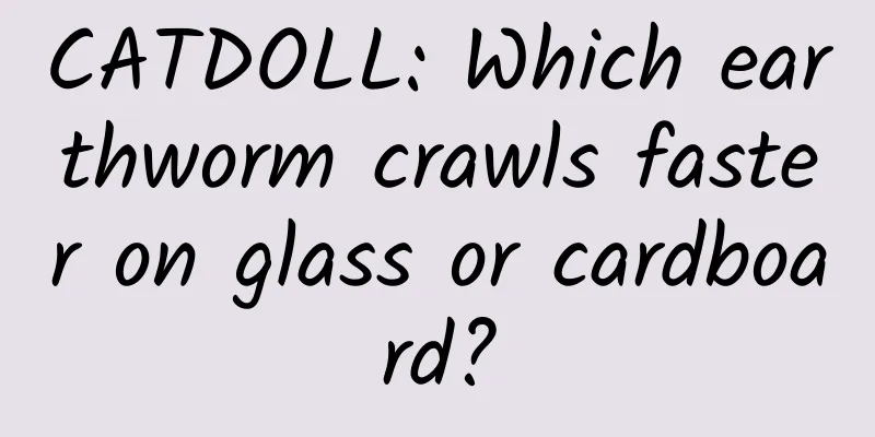 CATDOLL: Which earthworm crawls faster on glass or cardboard?