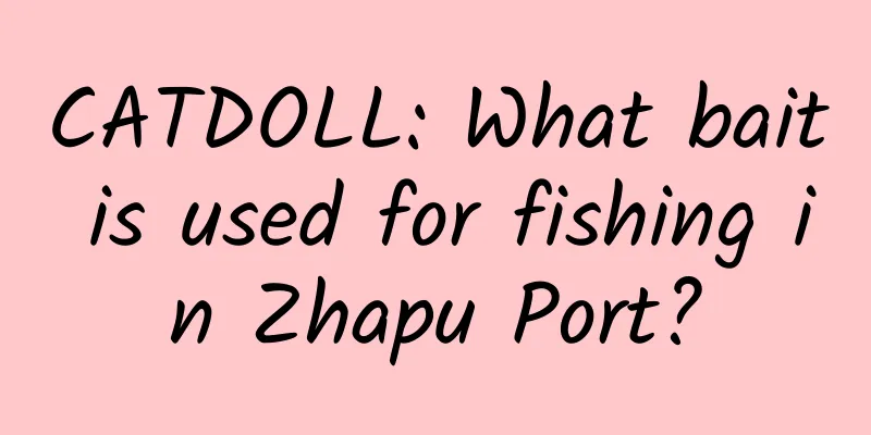 CATDOLL: What bait is used for fishing in Zhapu Port?