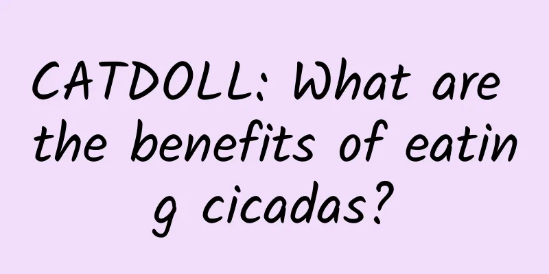 CATDOLL: What are the benefits of eating cicadas?