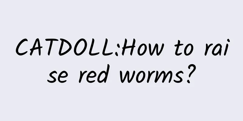 CATDOLL:How to raise red worms?