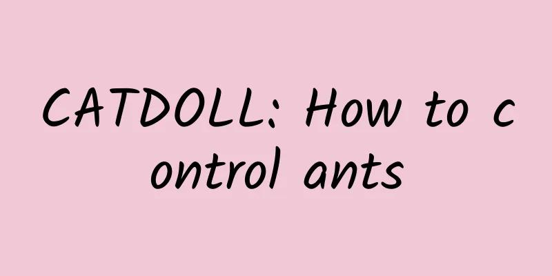 CATDOLL: How to control ants