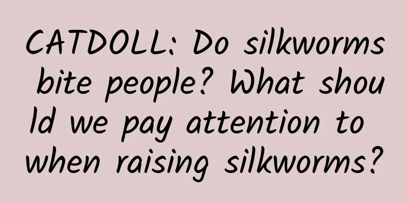 CATDOLL: Do silkworms bite people? What should we pay attention to when raising silkworms?