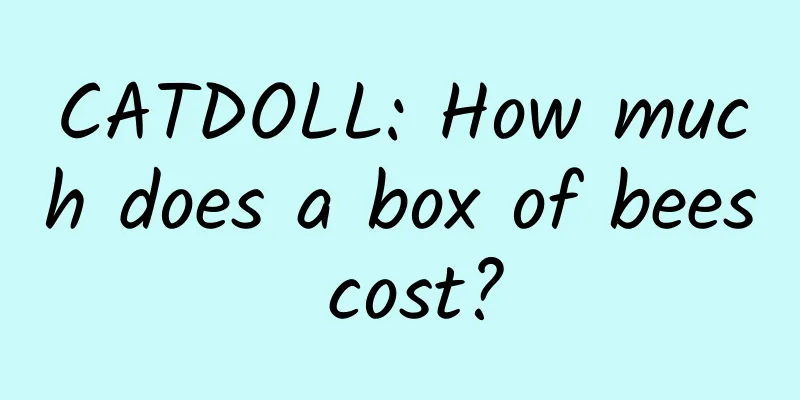 CATDOLL: How much does a box of bees cost?