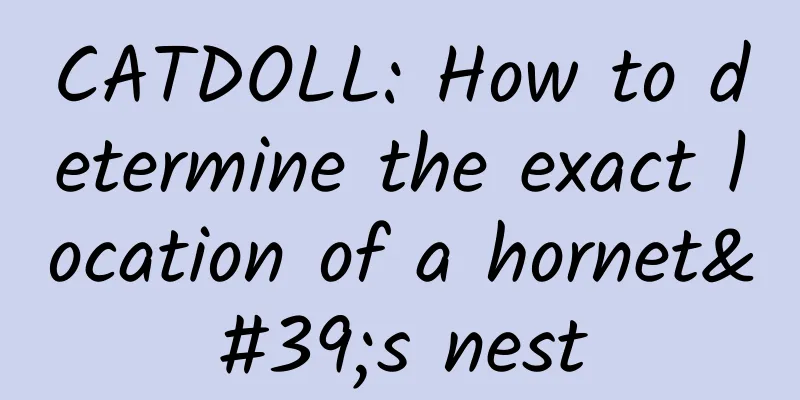 CATDOLL: How to determine the exact location of a hornet's nest