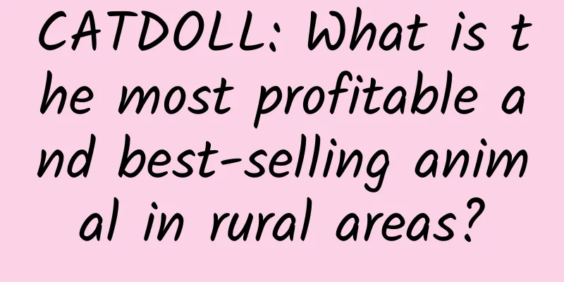 CATDOLL: What is the most profitable and best-selling animal in rural areas?
