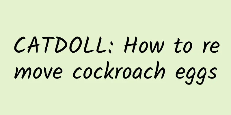 CATDOLL: How to remove cockroach eggs
