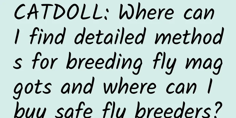 CATDOLL: Where can I find detailed methods for breeding fly maggots and where can I buy safe fly breeders?