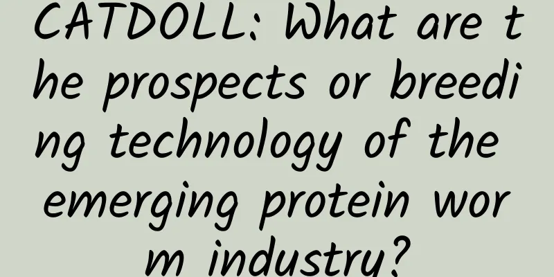 CATDOLL: What are the prospects or breeding technology of the emerging protein worm industry?