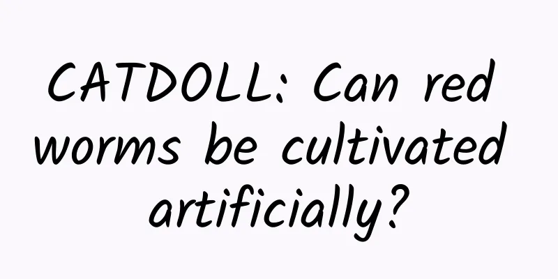 CATDOLL: Can red worms be cultivated artificially?