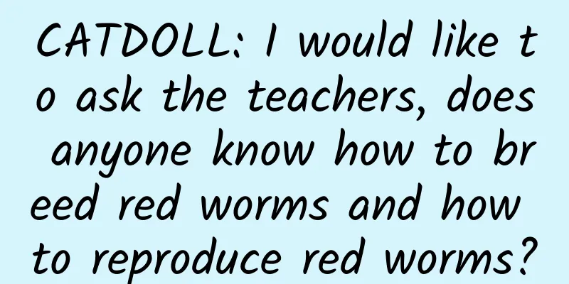 CATDOLL: I would like to ask the teachers, does anyone know how to breed red worms and how to reproduce red worms?
