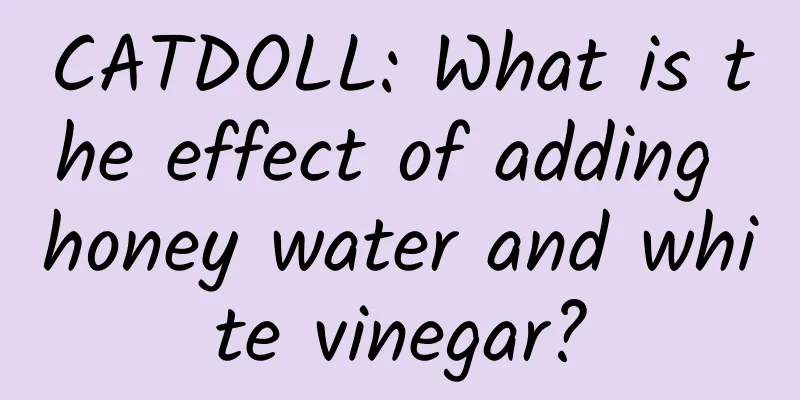CATDOLL: What is the effect of adding honey water and white vinegar?