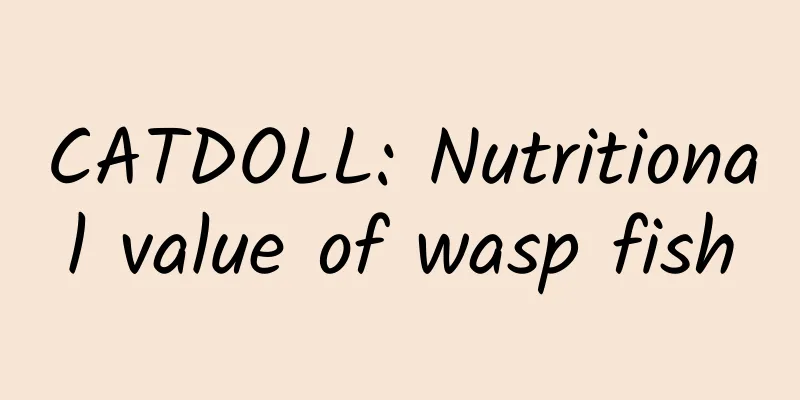CATDOLL: Nutritional value of wasp fish