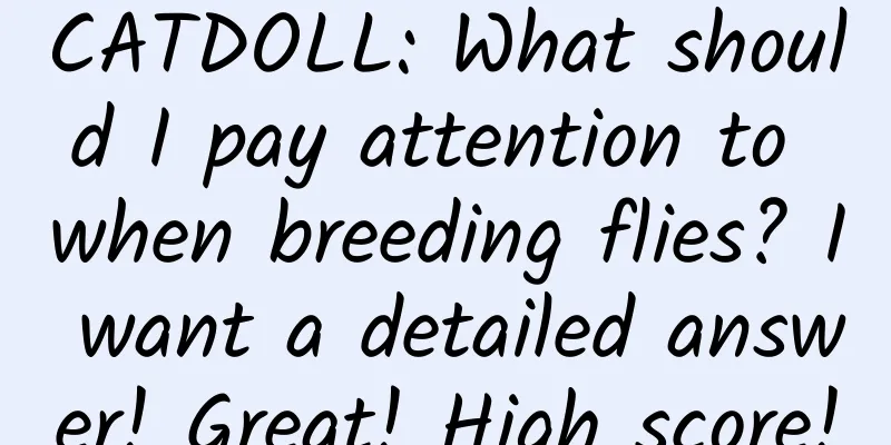 CATDOLL: What should I pay attention to when breeding flies? I want a detailed answer! Great! High score!