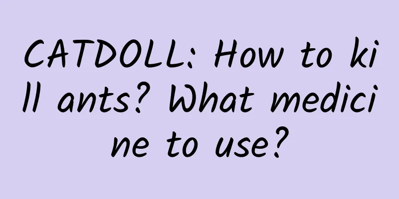 CATDOLL: How to kill ants? What medicine to use?