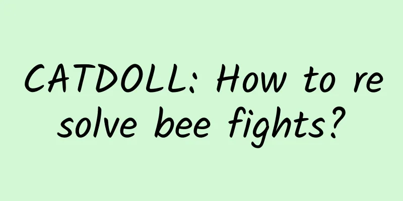CATDOLL: How to resolve bee fights?
