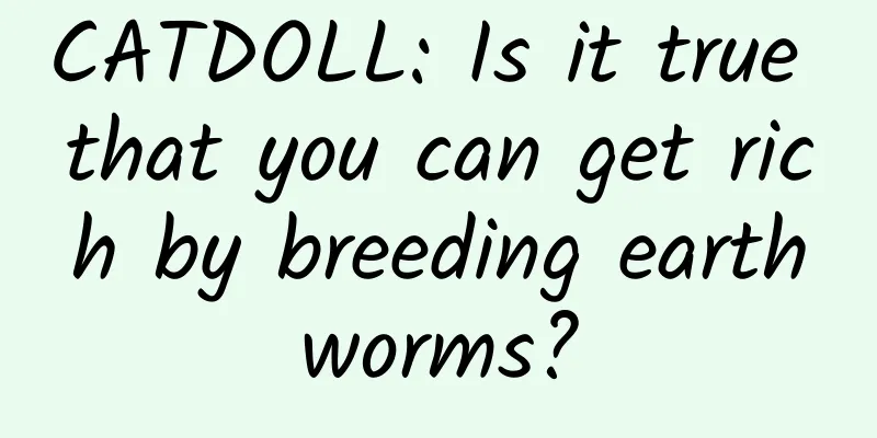 CATDOLL: Is it true that you can get rich by breeding earthworms?