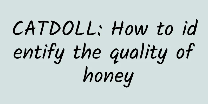 CATDOLL: How to identify the quality of honey