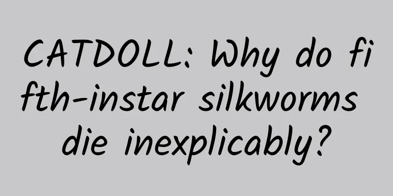 CATDOLL: Why do fifth-instar silkworms die inexplicably?