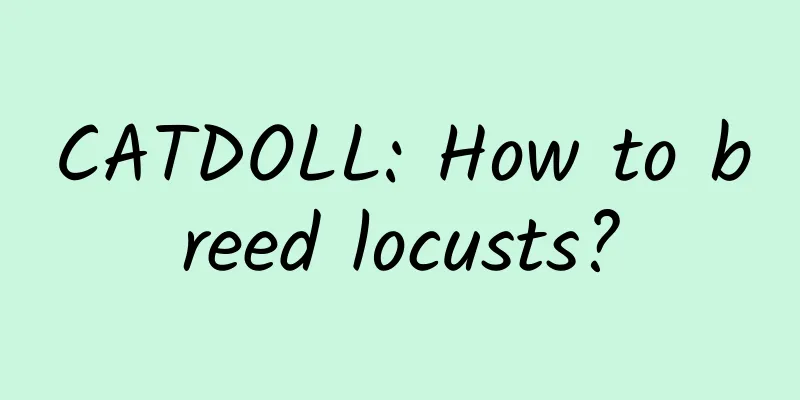 CATDOLL: How to breed locusts?