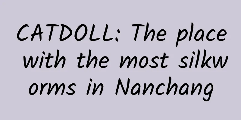 CATDOLL: The place with the most silkworms in Nanchang