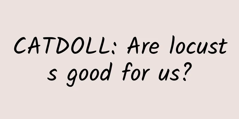 CATDOLL: Are locusts good for us?