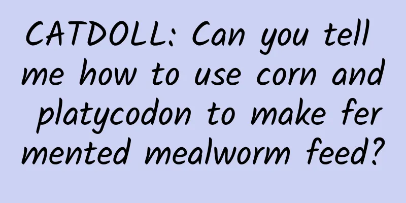 CATDOLL: Can you tell me how to use corn and platycodon to make fermented mealworm feed?