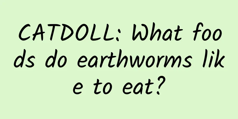 CATDOLL: What foods do earthworms like to eat?