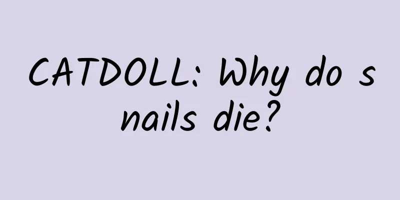 CATDOLL: Why do snails die?