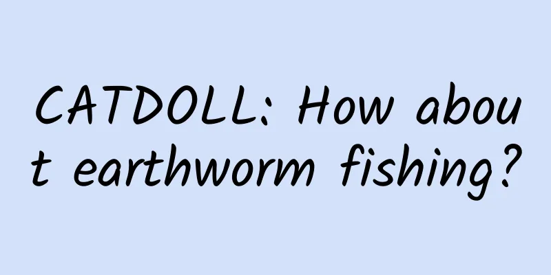 CATDOLL: How about earthworm fishing?