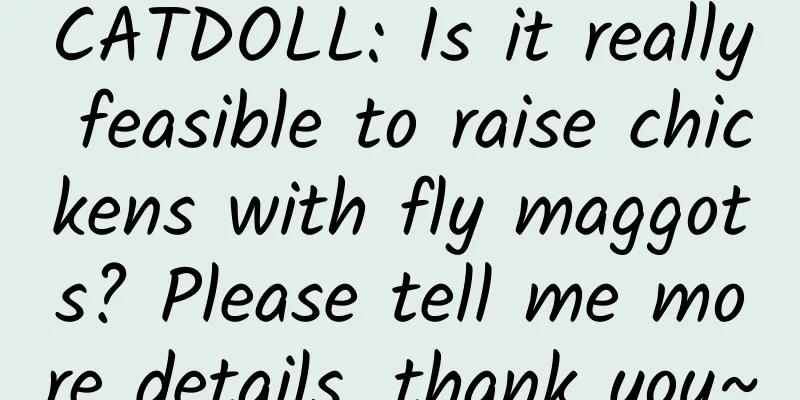 CATDOLL: Is it really feasible to raise chickens with fly maggots? Please tell me more details, thank you~