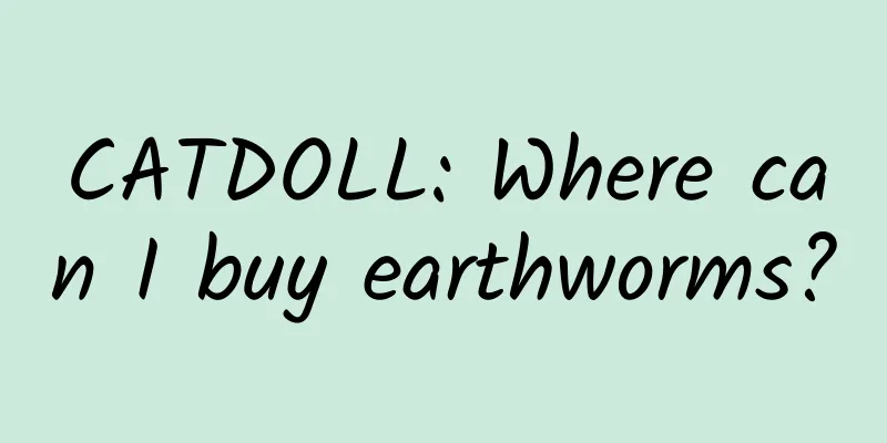 CATDOLL: Where can I buy earthworms?