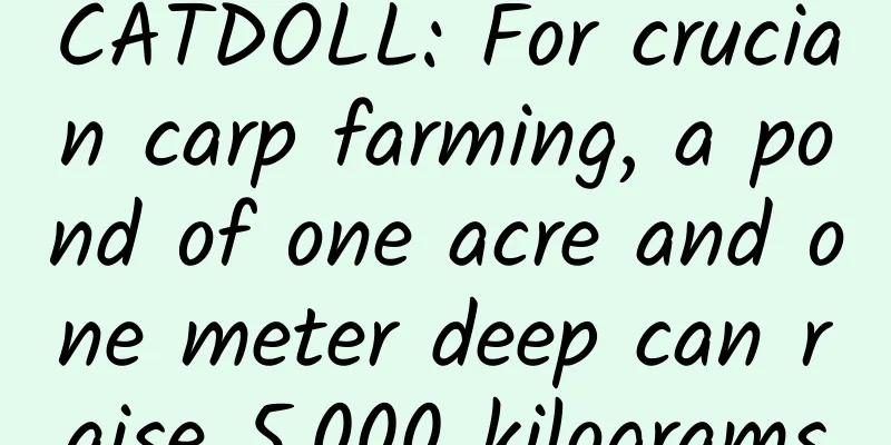 CATDOLL: For crucian carp farming, a pond of one acre and one meter deep can raise 5,000 kilograms