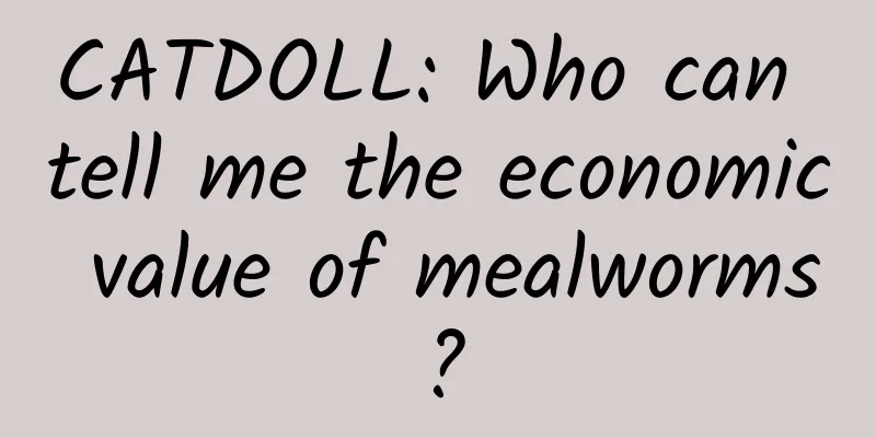 CATDOLL: Who can tell me the economic value of mealworms?