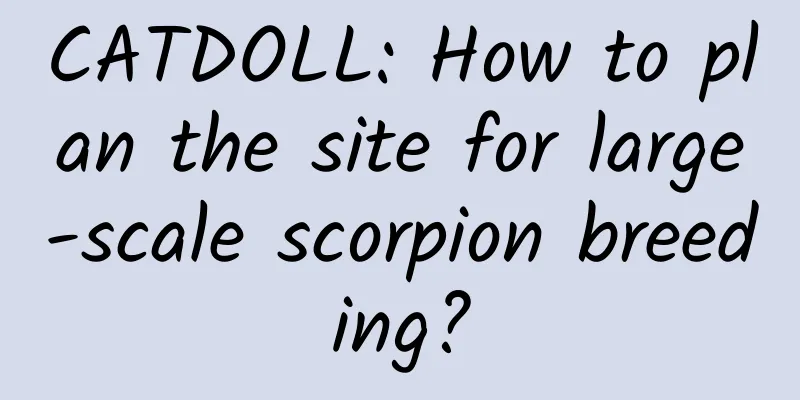CATDOLL: How to plan the site for large-scale scorpion breeding?