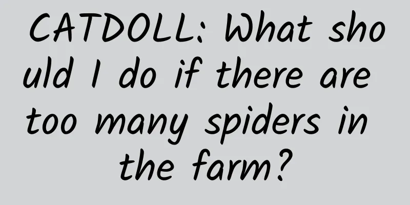 CATDOLL: What should I do if there are too many spiders in the farm?