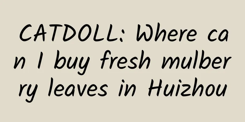 CATDOLL: Where can I buy fresh mulberry leaves in Huizhou