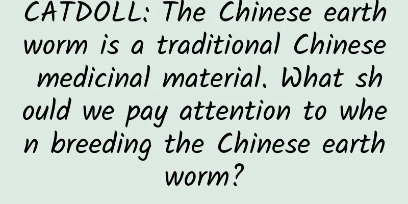 CATDOLL: The Chinese earthworm is a traditional Chinese medicinal material. What should we pay attention to when breeding the Chinese earthworm?