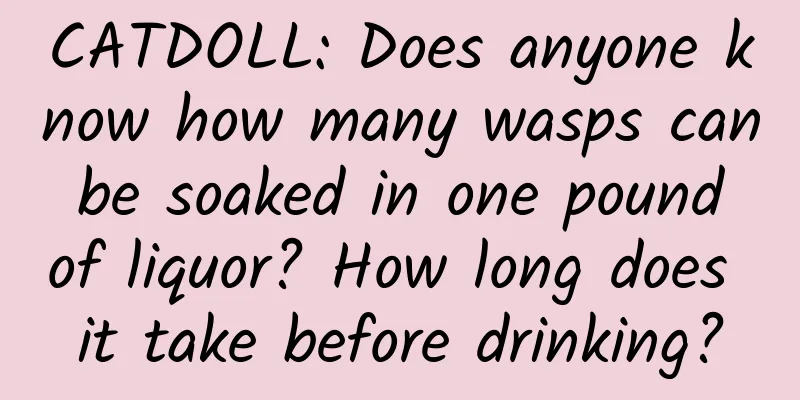 CATDOLL: Does anyone know how many wasps can be soaked in one pound of liquor? How long does it take before drinking?
