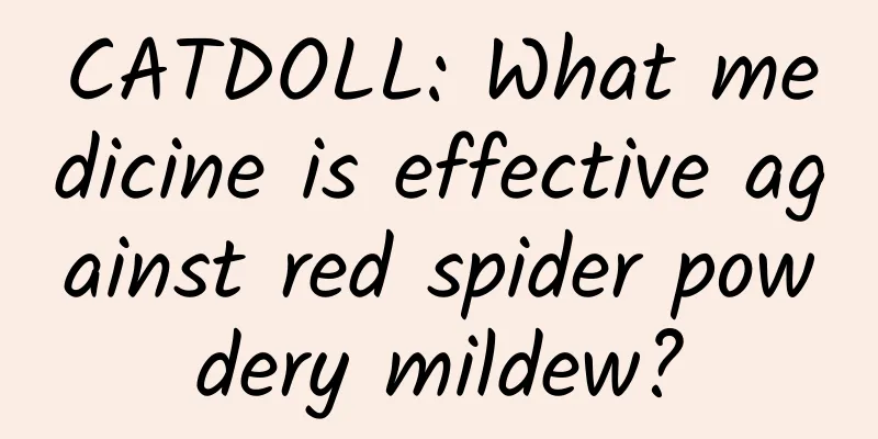 CATDOLL: What medicine is effective against red spider powdery mildew?