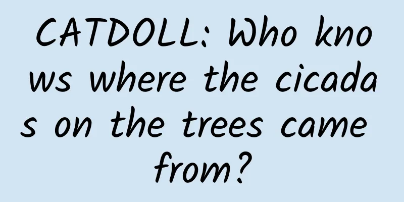 CATDOLL: Who knows where the cicadas on the trees came from?