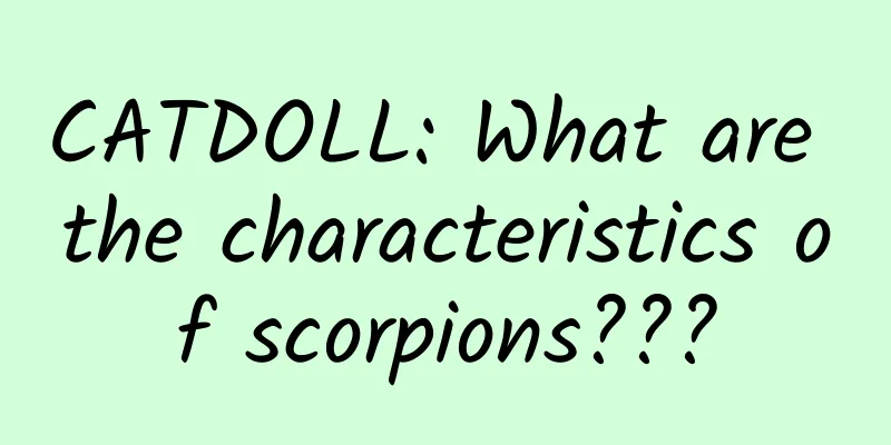 CATDOLL: What are the characteristics of scorpions???