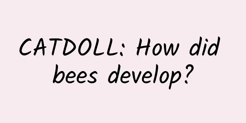CATDOLL: How did bees develop?